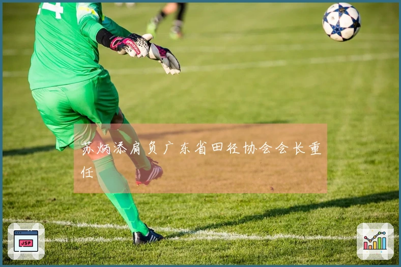 苏炳添肩负广东省田径协会会长重任