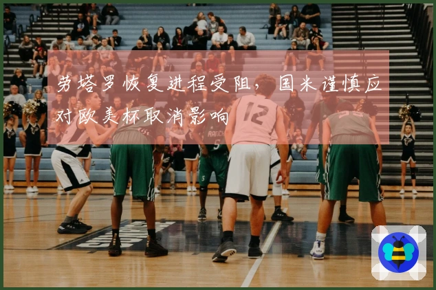 劳塔罗恢复进程受阻，国米谨慎应对欧美杯取消影响